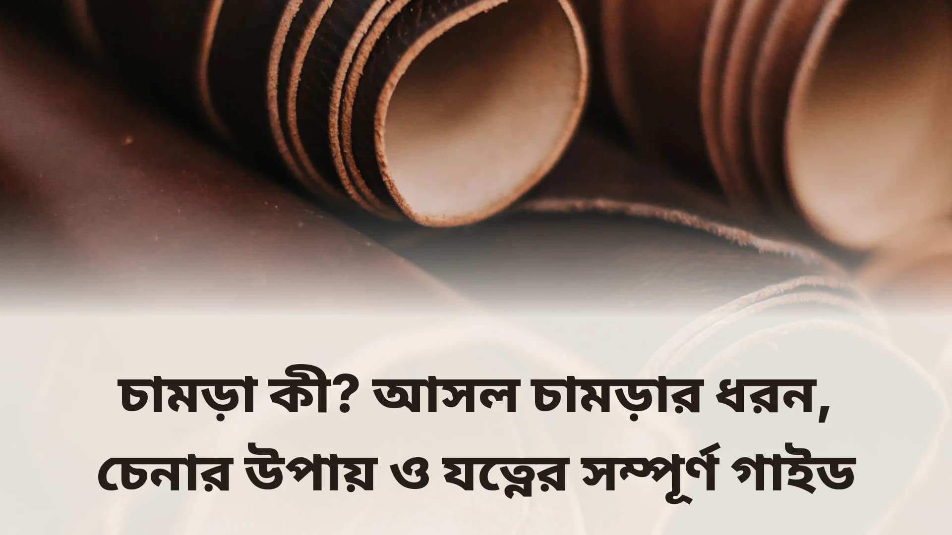 চামড়া কী — আসল চামড়ার ধরন ও গ্রেড বোঝার গাইড