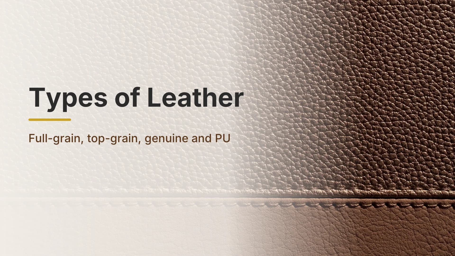 Close-up of brown leather grain with a row of stitching along the lower edge, on a light cream background